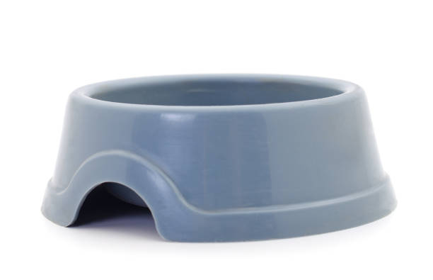 istock Empty bowl for cat and dog food. 1168251751