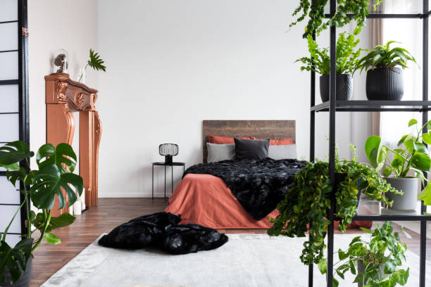 istock Copy space on empty white wall of rustic bedroom interior with king size bed with orange bedding and black duvet 1168253222