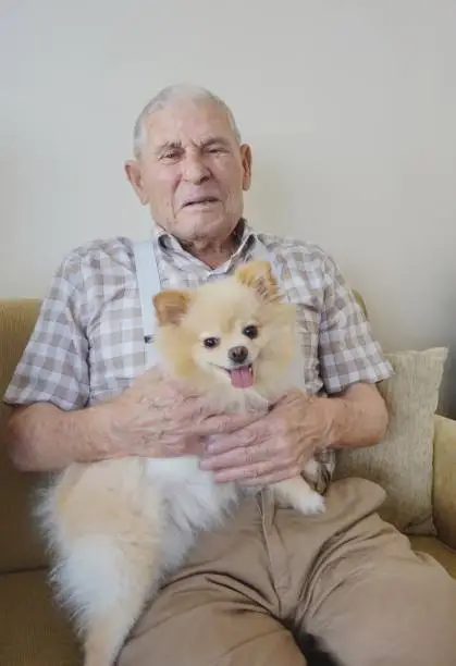 The Old man has a pomeranian dog