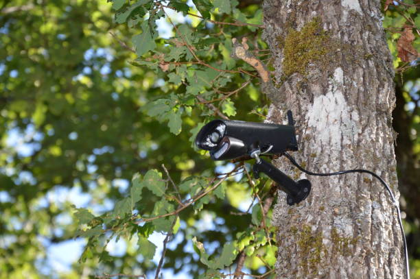 istock Closeup on a video surveillance camera 1168255600