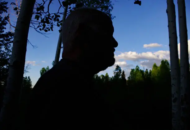 One man's silhouette likeness with a forest and sky backdrop