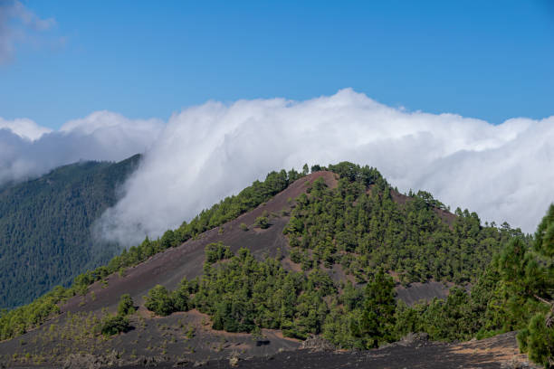 istock Clouds rolling in over the crater adn volcanic landscape and pine forest at astronomy viewpoint Llanos del Jable, La Palma, Canary Islands, Spain 1168259980