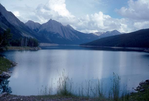 istock The Maline Lake, Alberta, Canada 1168260960