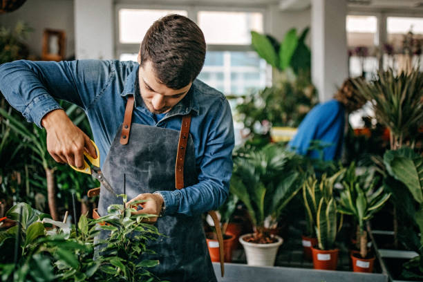 istock Man preparing flowers for sale 1168261352