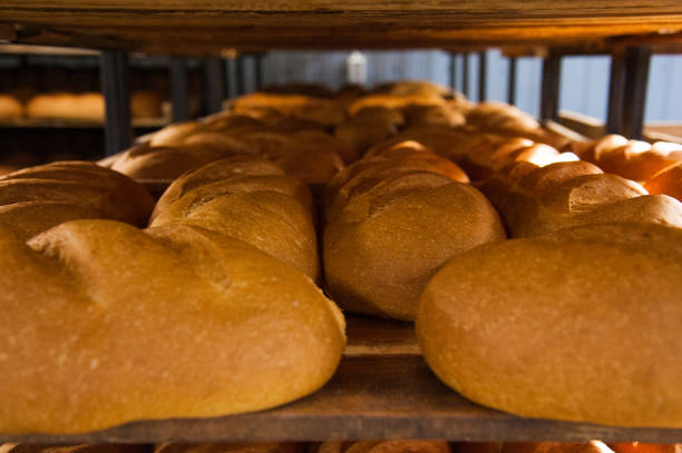 istock Bakery. Production of bread, rolls, pies and cookies 1168265626