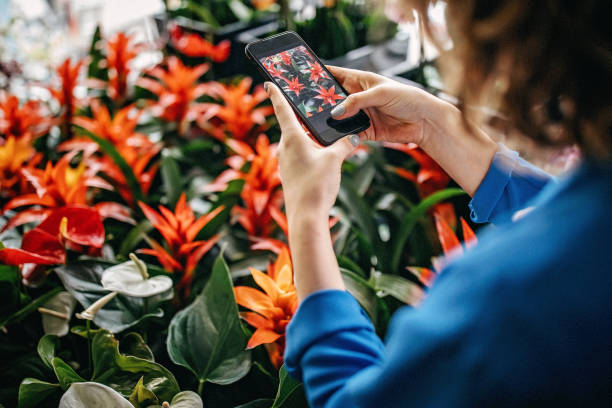 istock My flowers, my precious 1168266643