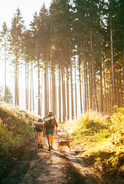 mother and son with their family member beagle dog walking by the trekking path with backpacks under the evening sun light. - autumn women park forest imagens e fotografias de stock