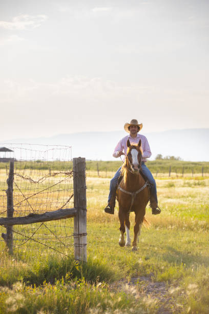 istock Cowboy and his Horse 1168268332