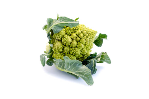 romanesco isolato su sfondo bianco - romanesque broccoli cauliflower cabbage foto e immagini stock