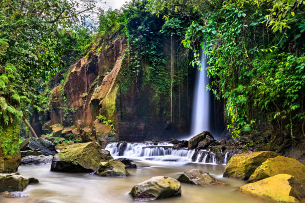 istock Sumampan Waterfall in Bali, Indonesia 1168270465