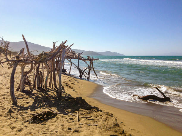 schronienie przeciwsłoneczne na piaszczystej plaży w parku narodowym maremma - crusoe zdjęcia i obrazy z banku zdjęć