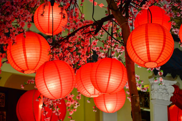 istock Chinese lantern on peach blossom tree 1168275998