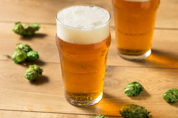 Refreshing Summer IPA Craft Beer Refreshing Summer IPA Craft Beer with Hops india pale ale photos stock pictures, royalty-free photos & images