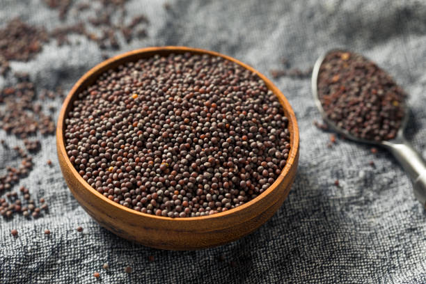 istock Raw Organic Brown Mustards Seeds 1168279138