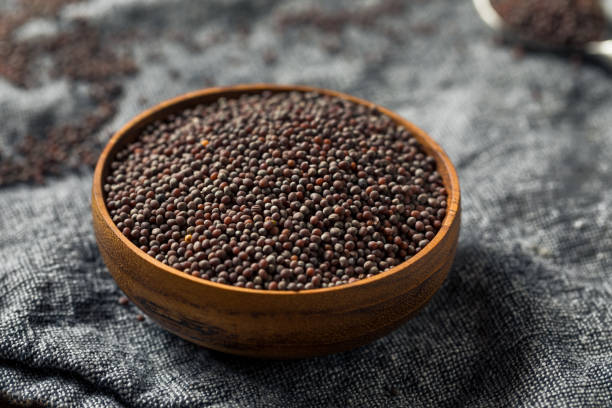 istock Raw Organic Brown Mustards Seeds 1168279387