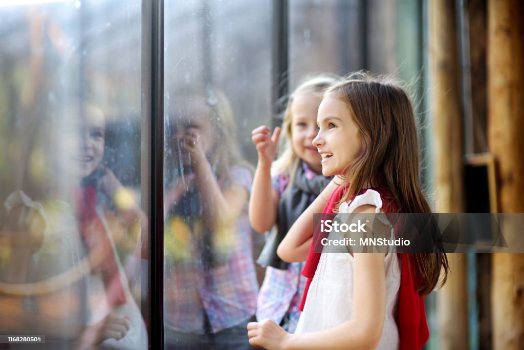 Two cute little sisters watching animals in the zoo on warm and sunny summer day Two cute little sisters watching animals in the zoo on warm and sunny summer day. Children watching zoo animals through the window. Zoo Stock Photo