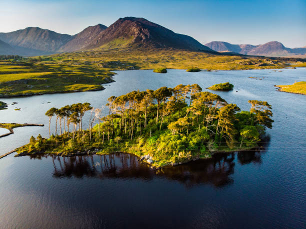 Twelve Pines Island, standing on a gorgeous background formed by the sharp peaks of a mountain range called Twelve Pins or Twelve Bens, Connemara, County Galway, Ireland stock photo