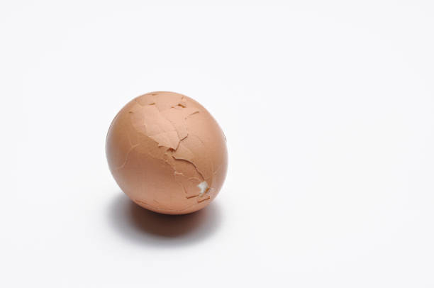 istock Boiled eggs isolated on white background. Protein source. Healthy food 1168284795