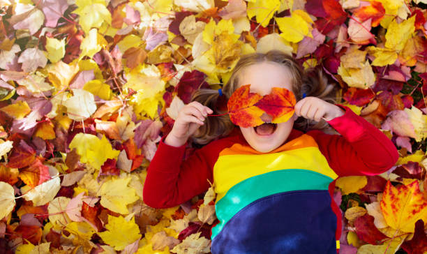 enfant dans le stationnement d'automne. gosse avec des lames d'automne. - babies or children photos et images de collection