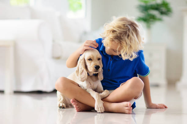 istock Child playing with dog. Kids play with puppy. 1168287193