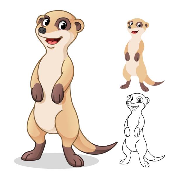 Happy Meerkat Cartoon Character Design Happy meerkat cartoon character design, including flat and line art designs, vector illustration, in isolated white background. meerkat stock illustrations