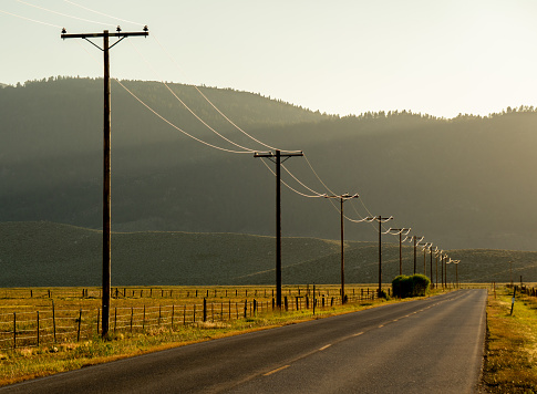 Electric power line along a rural highway, the wires are glowing in the sunset light, bright orange grass, mountains for background, Bridgeport CA