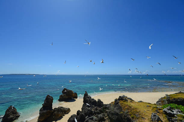 istock Tropical beach and sea. 1168295947