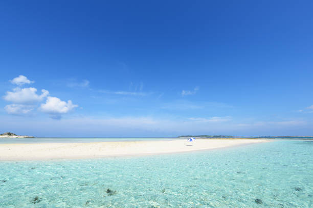 istock Tropical beach and sea. 1168296006