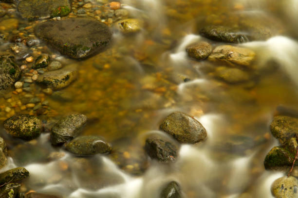 istock Long exposure of water flowing over river rocks 1168299792