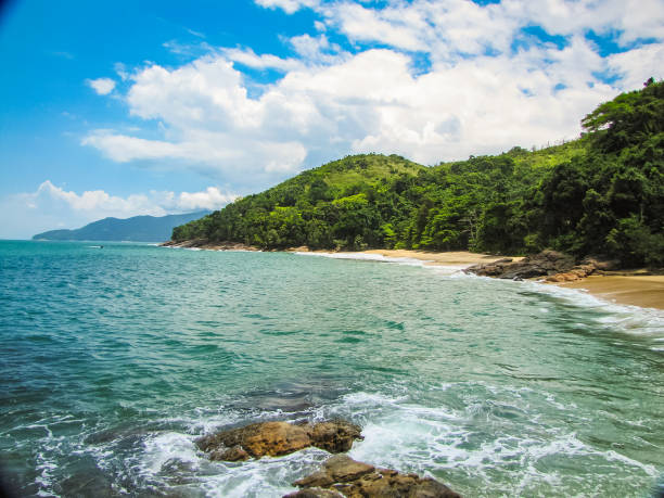 istock Amazing tropical beach in Brazil 1168300541