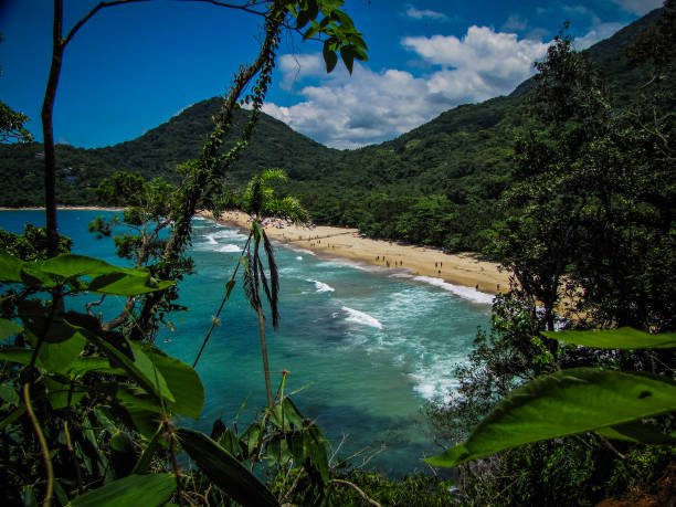 Amazing tropical beach in Brazil