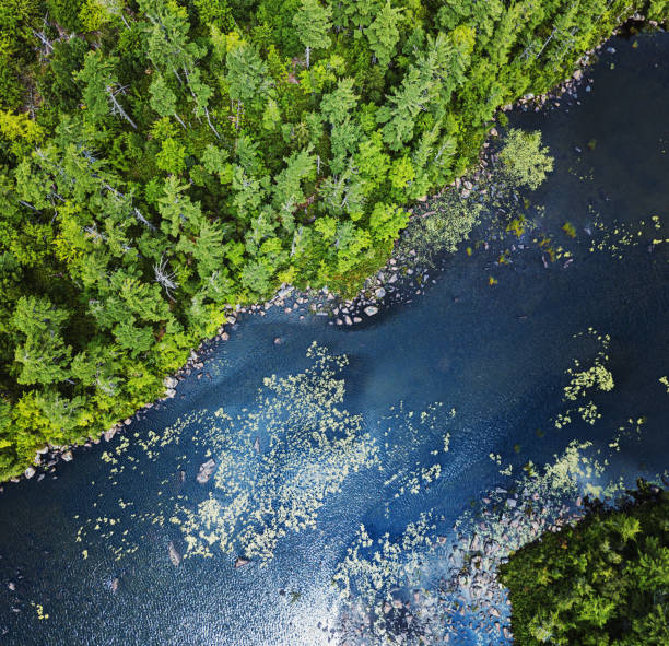 istock Aerial Drone View: Island in Lake 1168301489