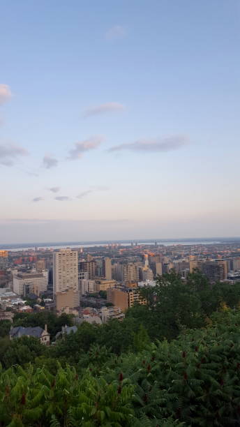 istock Late summer day on the city 1168303149