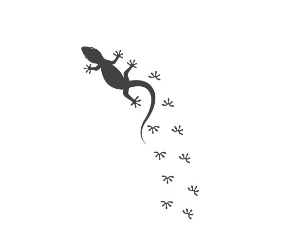 eidechse vektor illustration logo - lizard stock-grafiken, -clipart, -cartoons und -symbole