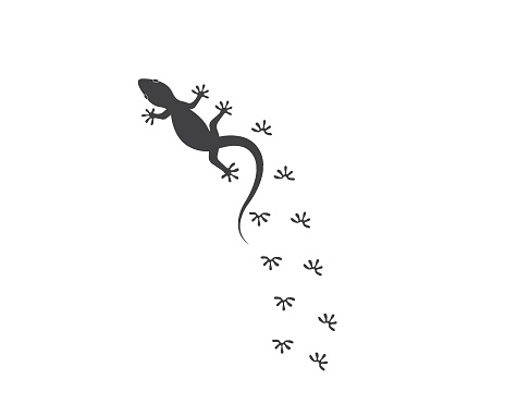 animal footprint tattoo vector gratis | AI, SVG y EPS