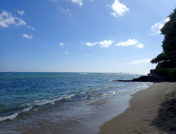 istock Makalei Beach with waves lapping, napakaa, lava rock wall and Coconut trees along the shore 1168306439