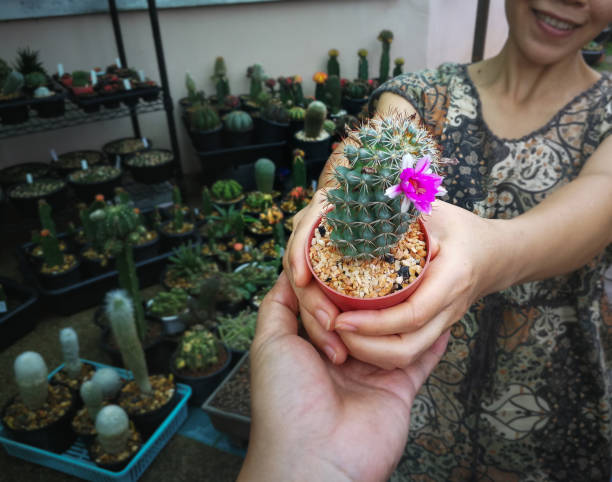 cactus garden home