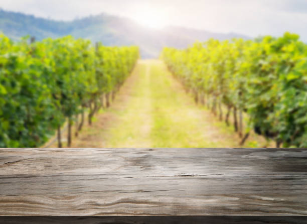 brązowy drewniany stół w zielonym wiosennym krajobrazie winnicy z pustym miejscem na kopiowanie na stole do wyświetlania produktów makiety. rolnictwo winiarnia i degustacja wina koncepcji. - napa grape vineyard vine zdjęcia i obrazy z banku zdjęć