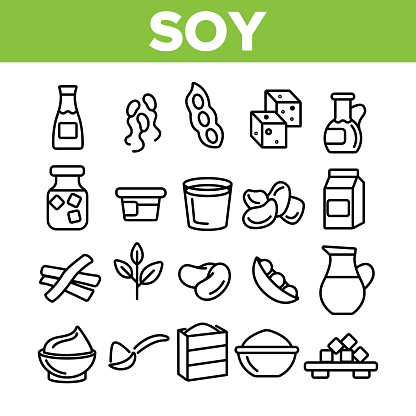 Soy Products, Food Linear Vector Icons Set. Vegetarian Soy Food Symbols Pack. Vegan Ingredients Pictograms Collection. Isolated Cooking Signs. Eco, Natural meat substitutes Items Outline Illustrations