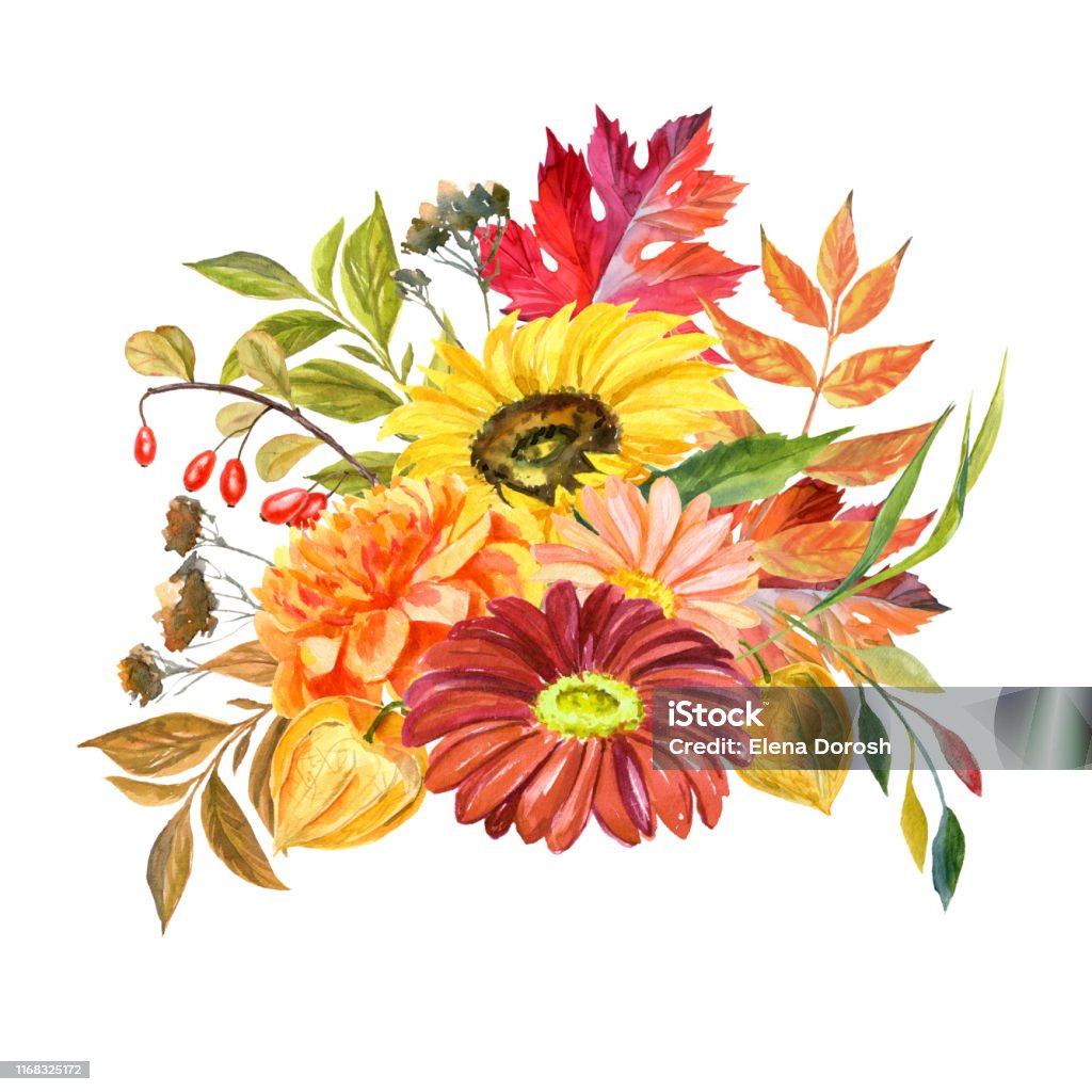 장식 수채화 가을 꽃과 흰색 배경에 고립 된 낙엽의 수채화 손 그린 꽃다발 꽃-식물에 대한 스톡 벡터 아트 및 기타 이미지 - 꽃-식물,  예술, 가을 - Istock