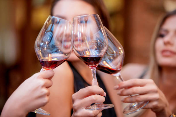 ladies holding glasses of red wine in a toast - 5548 imagens e fotografias de stock