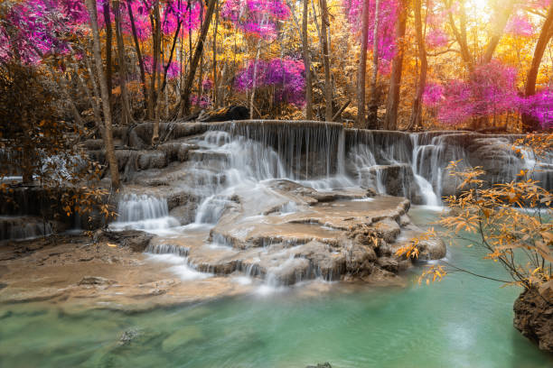 istock waterfall nature season spring in forest 1168334137