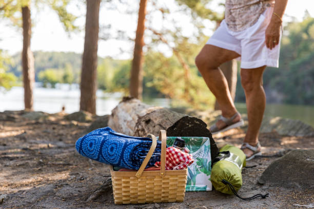 istock Senior ladies setting up a picnic in a forest 1168336423
