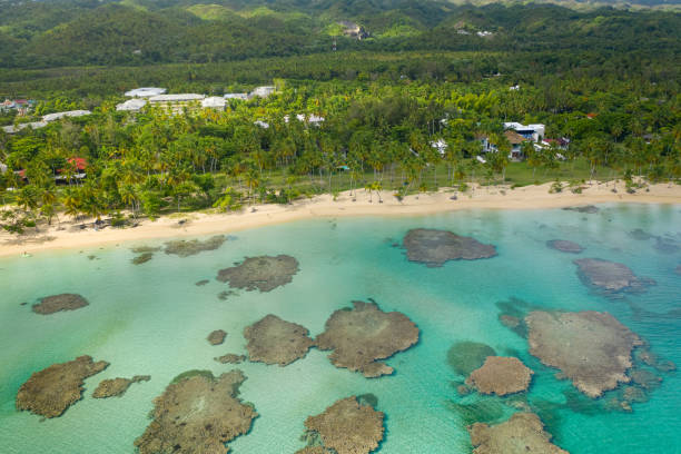 istock Bahia Principe beach Dominican Republic 1168336558