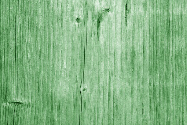 drewniana faktura deski w zielonym tonie. - 16326 zdjęcia i obrazy z banku zdjęć