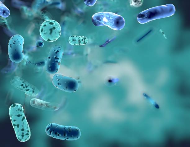 tła medyczna z bakteriami, mikroorganizmami, ilustracja 3d z kopią przestrzeni. - bacterium e coli pathogen micro organism zdjęcia i obrazy z banku zdjęć