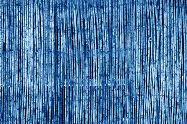 istock Weathered bamboo fence in navy blue tone. 1168344475