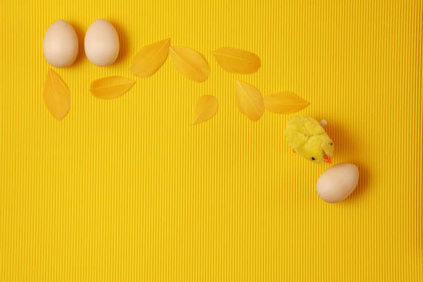cartão com três ovos, galinha e penas no fundo amarelo, celebração recém-nascida do conceito - eggs animal egg celebration feather - fotografias e filmes do acervo