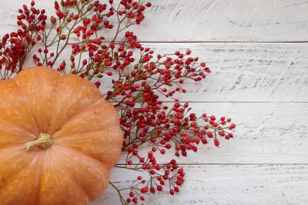 Pumpkin. Orange big pumpkin with red berries on a wooden light background.Harvest pumpkin.Autumn vegetables