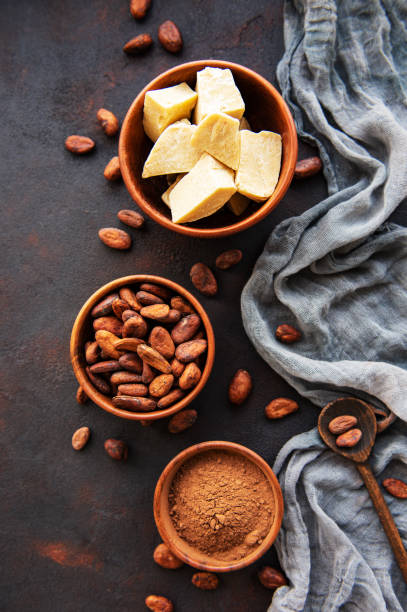 istock Cocoa beans, powder and butter 1168350775